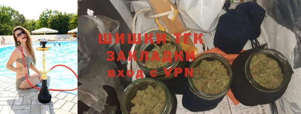 твердый Вяземский